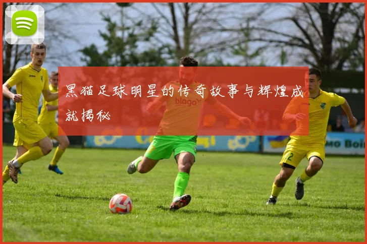 黑猫足球明星的传奇故事与辉煌成就揭秘