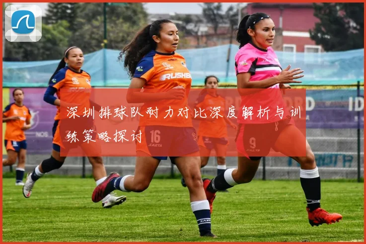深圳排球队耐力对比深度解析与训练策略探讨