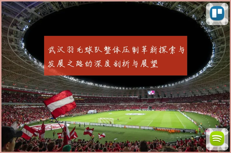 武汉羽毛球队整体压制革新探索与发展之路的深度剖析与展望