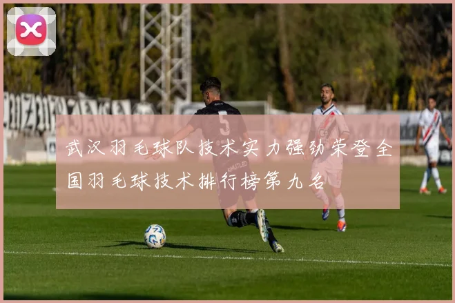 武汉羽毛球队技术实力强劲荣登全国羽毛球技术排行榜第九名