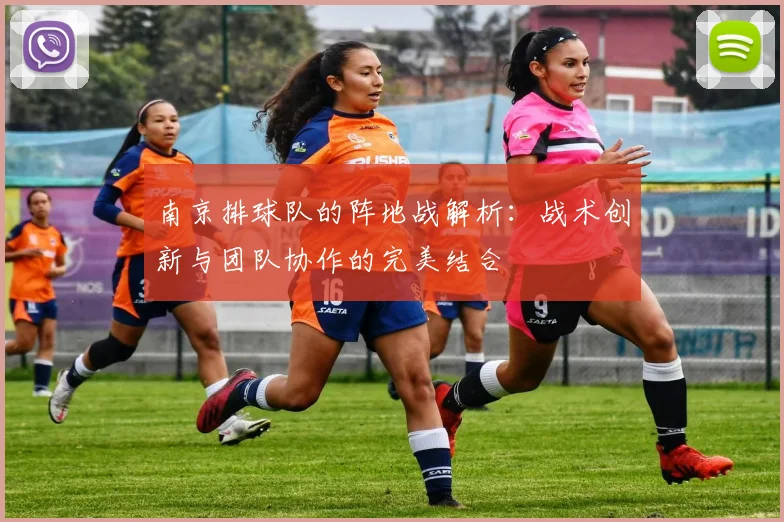 南京排球队的阵地战解析：战术创新与团队协作的完美结合