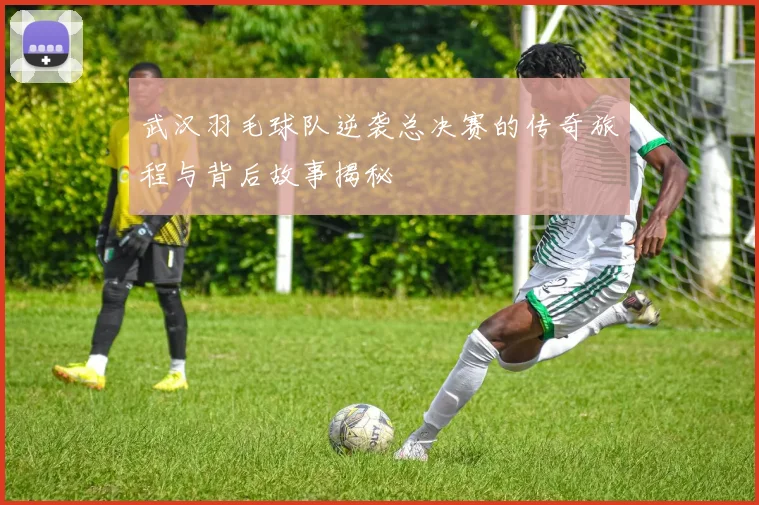 武汉羽毛球队逆袭总决赛的传奇旅程与背后故事揭秘