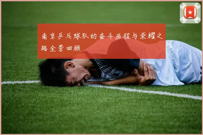 南京乒乓球队的奋斗历程与荣耀之路全景回顾