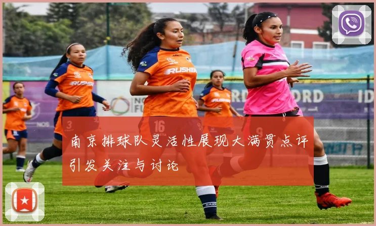 南京排球队灵活性展现大满贯点评引发关注与讨论