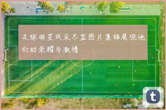 足球明星风采尽显图片集锦展现他们的荣耀与激情