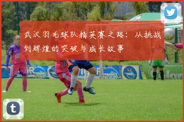 武汉羽毛球队精英赛之路：从挑战到辉煌的突破与成长故事