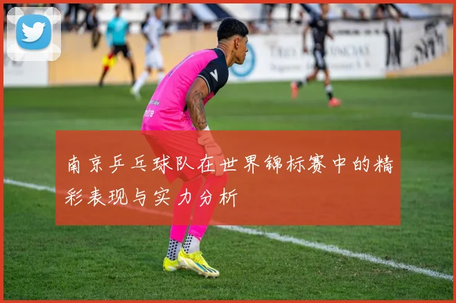 南京乒乓球队在世界锦标赛中的精彩表现与实力分析
