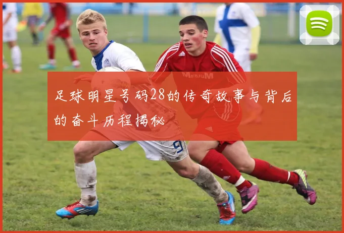 足球明星号码28的传奇故事与背后的奋斗历程揭秘