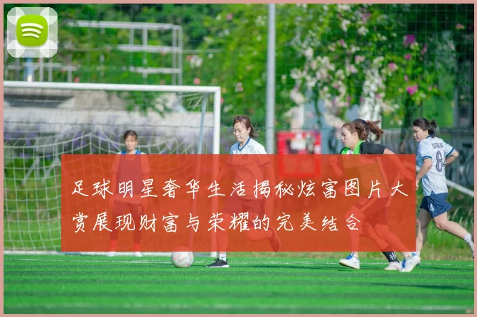 足球明星奢华生活揭秘炫富图片大赏展现财富与荣耀的完美结合