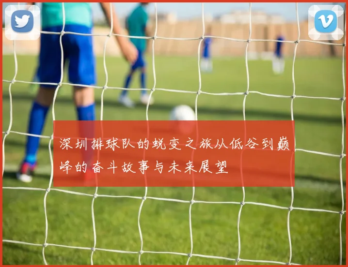 深圳排球队的蜕变之旅从低谷到巅峰的奋斗故事与未来展望