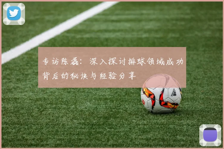 专访陈磊：深入探讨排球领域成功背后的秘诀与经验分享