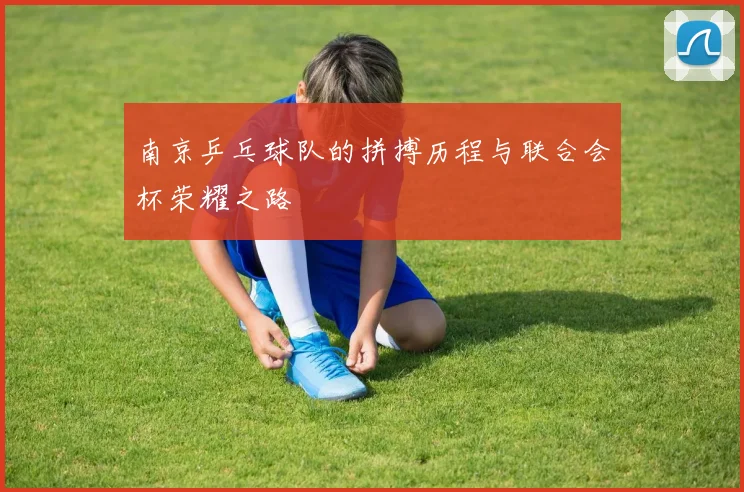 南京乒乓球队的拼搏历程与联合会杯荣耀之路