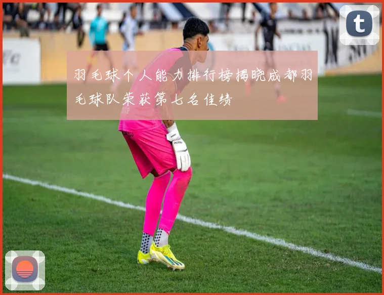 羽毛球个人能力排行榜揭晓成都羽毛球队荣获第七名佳绩