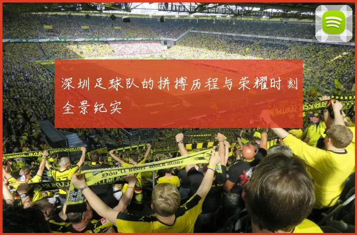 深圳足球队的拼搏历程与荣耀时刻全景纪实