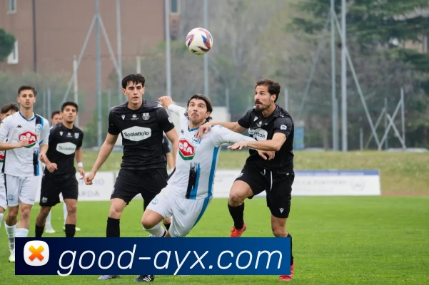 爱游戏平台生态图